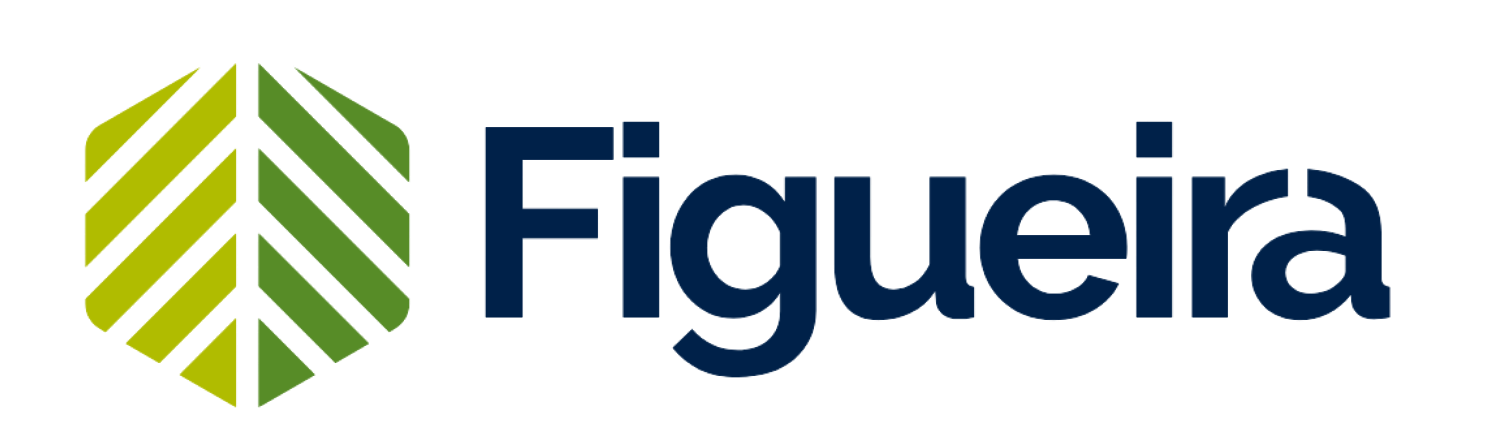 Figueira Serviços